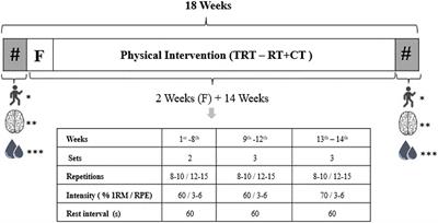 Resistance Training Combined With Cognitive Training Increases Brain Derived Neurotrophic Factor and Improves Cognitive Function in Healthy Older Adults